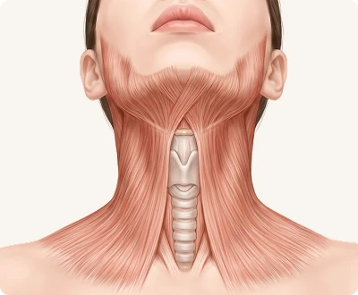 지방과 광경근 상태 확인