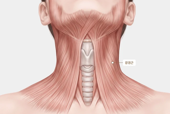 지방흡입만으로 부족할 수 있는 이유